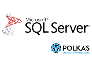 MS SQL server logo